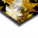 Autumn s Touch Acrylic print