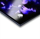 Blue Iris Acrylic print