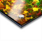 Desert Dream Acrylic print