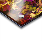 Color Bloom Acrylic print