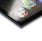 Hanging Pots Acrylic print