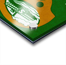 1975 Shreveport Steamer Football Helmet Art Acrylic print