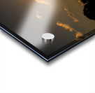 Yellow Skies Acrylic print