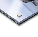 Lake Tahoe Sunrise Acrylic print