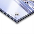 Big Sur Seagull Acrylic print