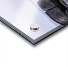 Lake Tahoe Sunrise Acrylic print