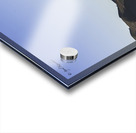 Golden Gate Bridge Acrylic print