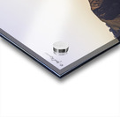 Golden Gate Bridge Acrylic print