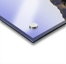 Golden Gate Bridge Acrylic print