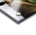 Hawaii Horse Acrylic print