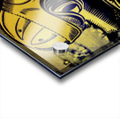 Vintage 1940s Cal Bear Art Acrylic print