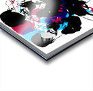 Vintage Baseball Pitch Art Acrylic print