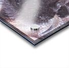 Catori Acrylic print