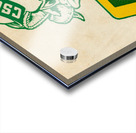 1965 Colorado State Rams Art Acrylic print