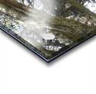 JPTCM 15 Acrylic print