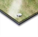 JPTCM 3 Acrylic print