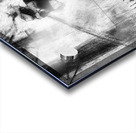 Fighting Wildfire Acrylic print