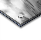 Enjoying The Morning Together Acrylic print