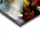 Dragon Claw Acrylic print