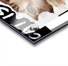 cat posteljina Acrylic print