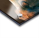 Longhorn Cow In Browns Acrylic print