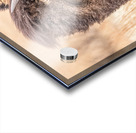 The Pompadour  Impression Acrylique