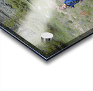 Among the Trees - square Acrylic print