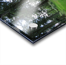 Glamis Castle Grounds Acrylic print