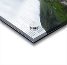 Majesty Acrylic print