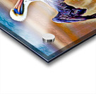 Majestic Pelican Wingspan  Acrylic print