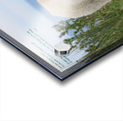 Friend Or Foe Acrylic print