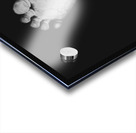 PXL 20220327 141622989 Acrylic print