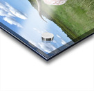 Longhorn Cow In Summer Pasture Acrylic print