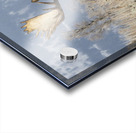 DSC 1165 20x30 Acrylic print