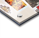 Safari Room Acrylic print