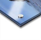 Hug Point North Acrylic print