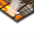 Through The Driftwood  Acrylic print