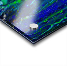 RAINMURAL Acrylic print