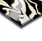 Zebra Acrylic print