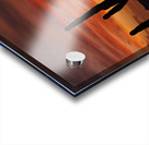 Az Cactus  Sunset Acrylic print