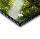 Westfork Az Acrylic print