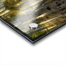 Forest Sun Rays Acrylic print