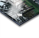 Apres la pluie Acrylic print