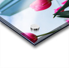 Downtown Spring Time Acrylic print