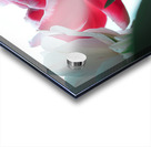 In Bloom in Pastels Acrylic print