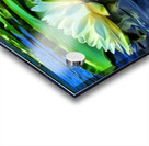 Summer Meditation Acrylic print