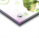 green dragon Acrylic print