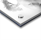 bonsai Acrylic print