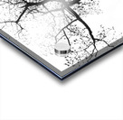 Looking Up - Branching Out - Oak Tree Abstract Acrylic print