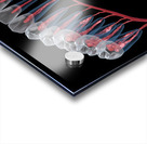 Dental root anatomy Xray view Acrylic print